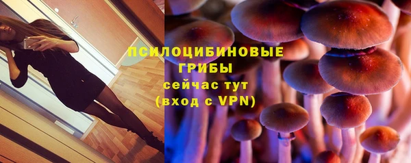 стаф Богданович