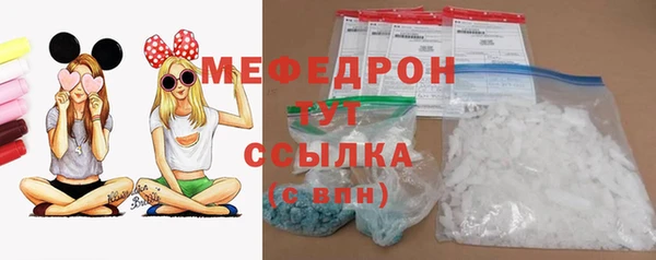 стаф Богданович