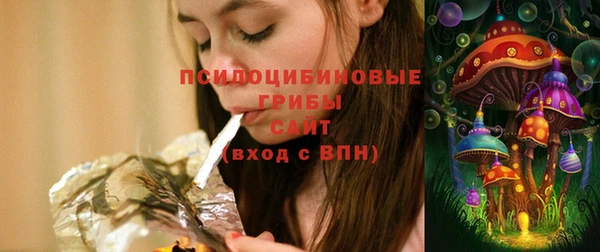 Альфа ПВП Бородино