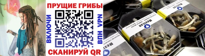 Псилоцибиновые грибы мухоморы  дарнет шоп  Борисоглебск 